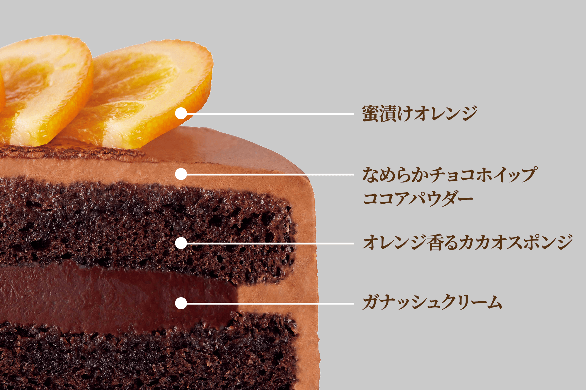 ケーキ説明 (1)