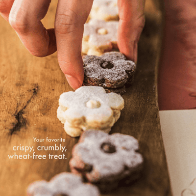 image_2026_2_26 (3) (2)