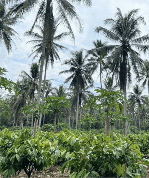 image_2026_3_18 (2) (2)