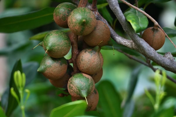 pixta_89949642_M (1)